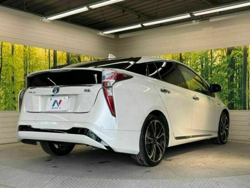 PRIUS-17