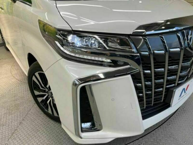 ALPHARD-13