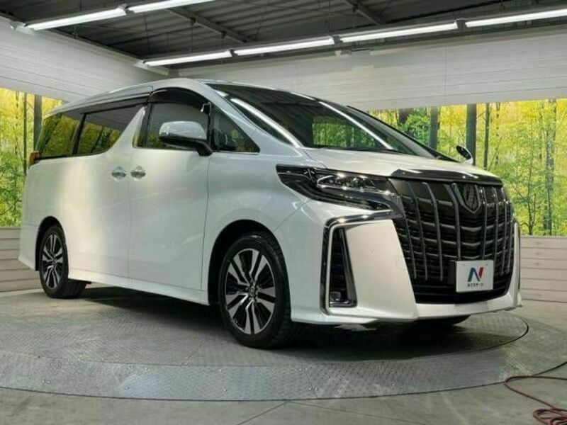 ALPHARD-17