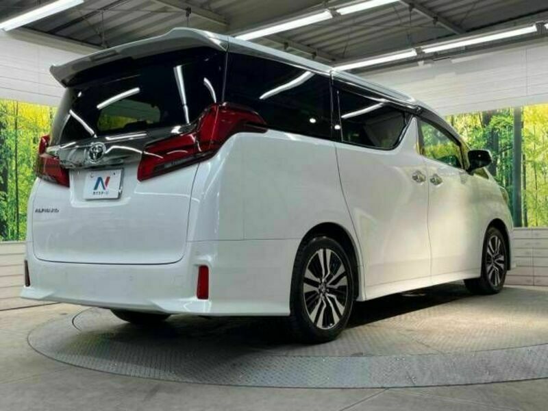 ALPHARD-18