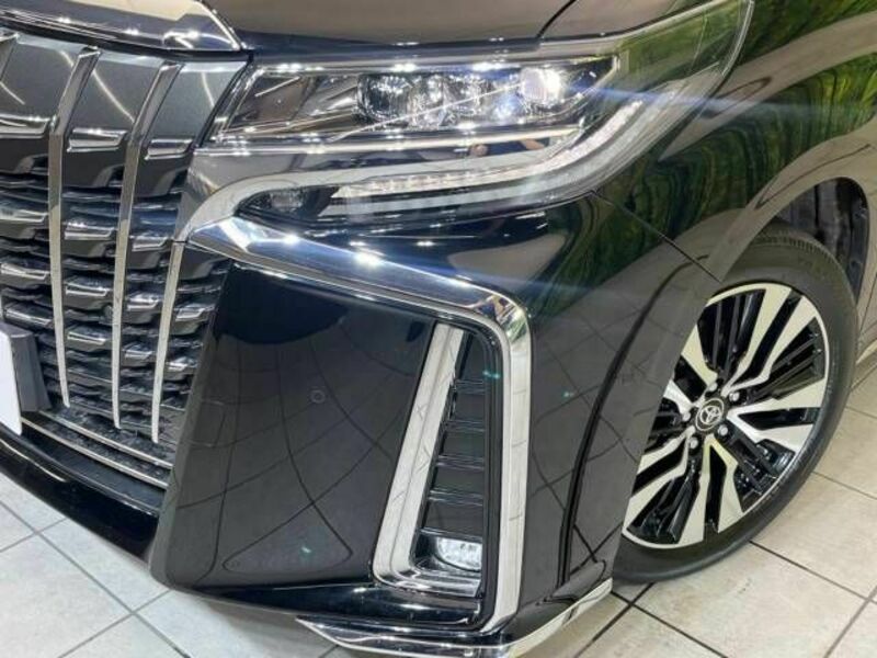 ALPHARD-14