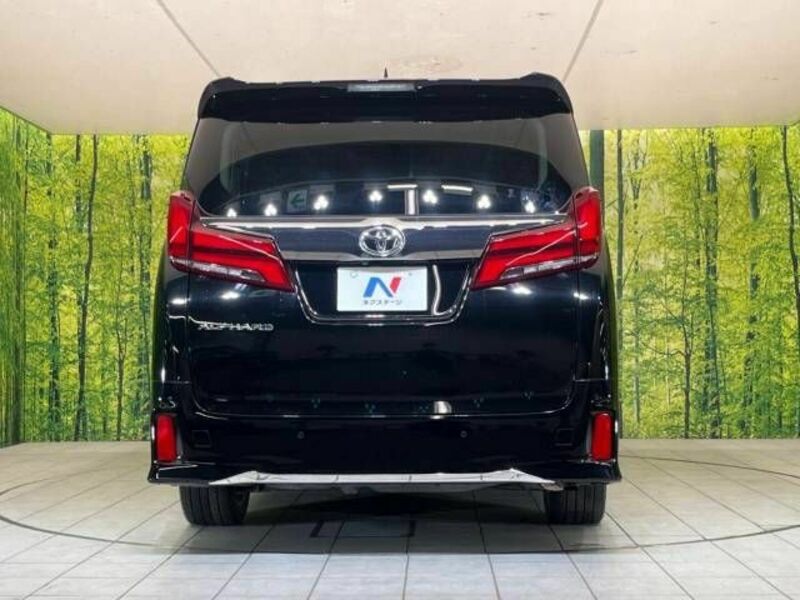 ALPHARD-16