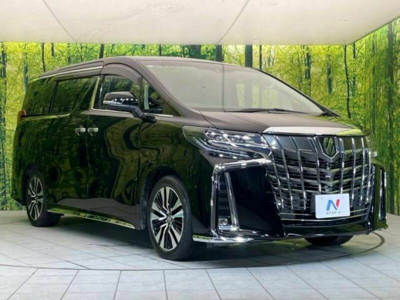 ALPHARD-17