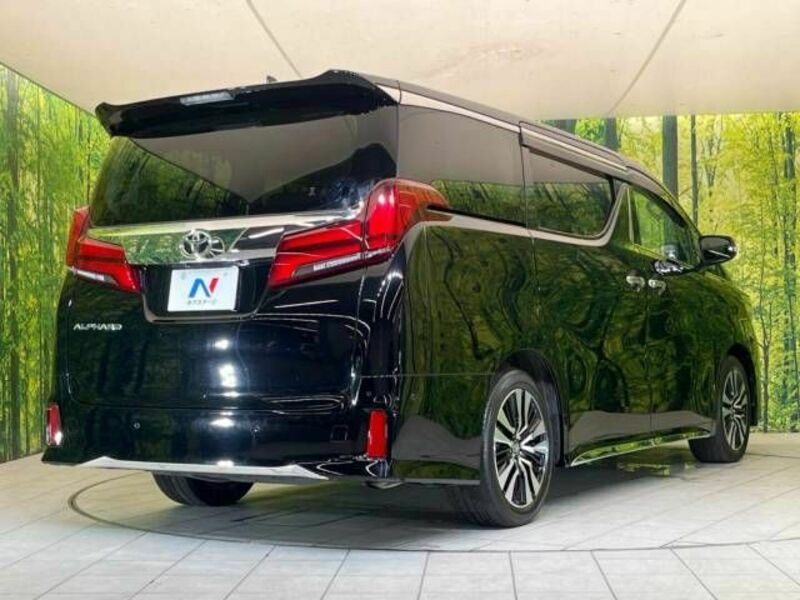 ALPHARD-18