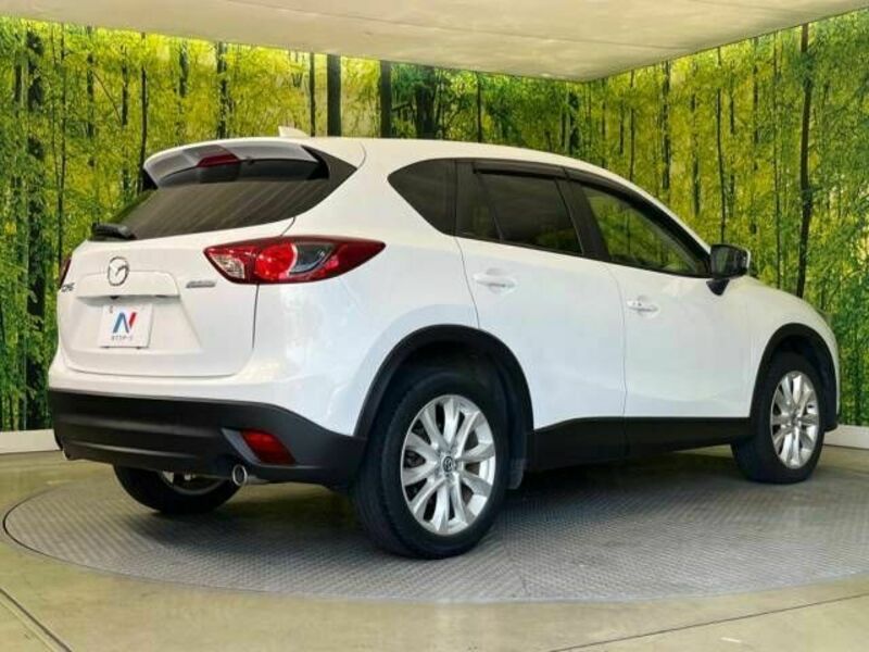 CX-5-17