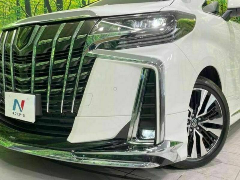 ALPHARD-13