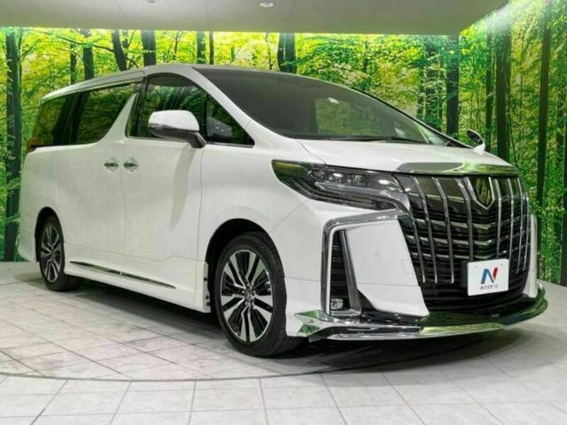 ALPHARD-17