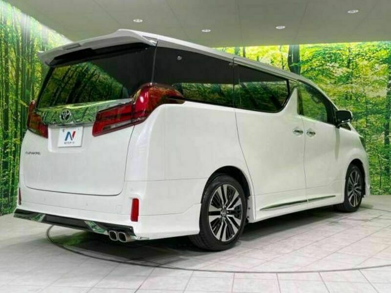 ALPHARD-18