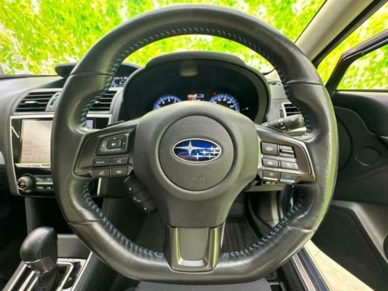 LEVORG-13