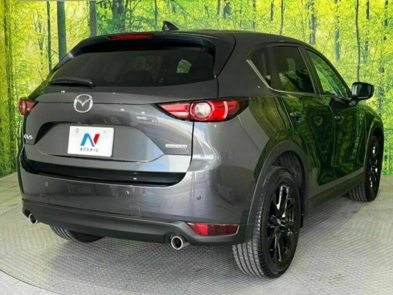 CX-5-17