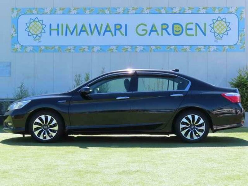 ACCORD HYBRID-15