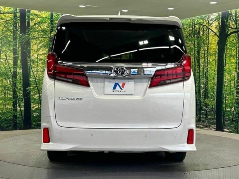 ALPHARD-6