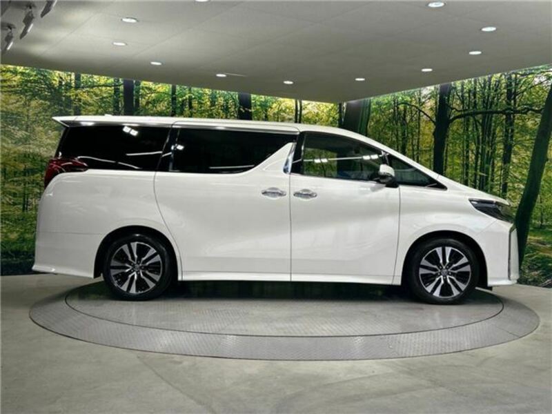 ALPHARD-7