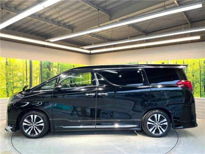 ALPHARD-7