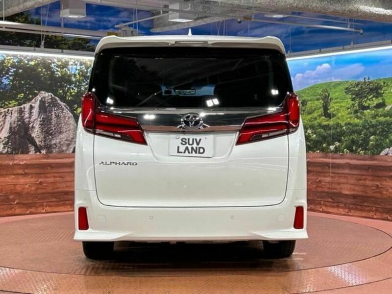 ALPHARD-6