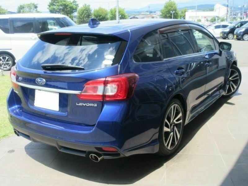 LEVORG