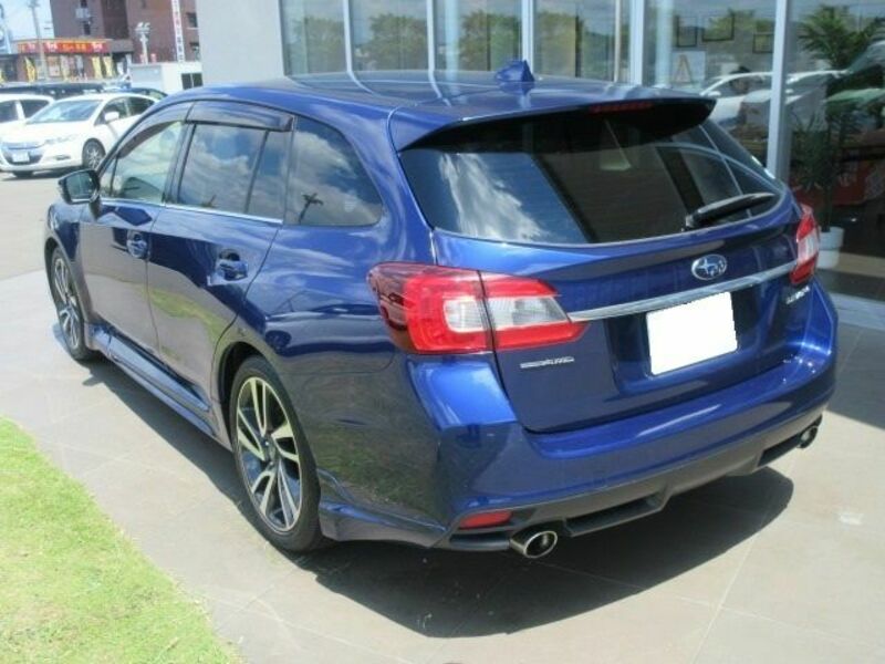 LEVORG