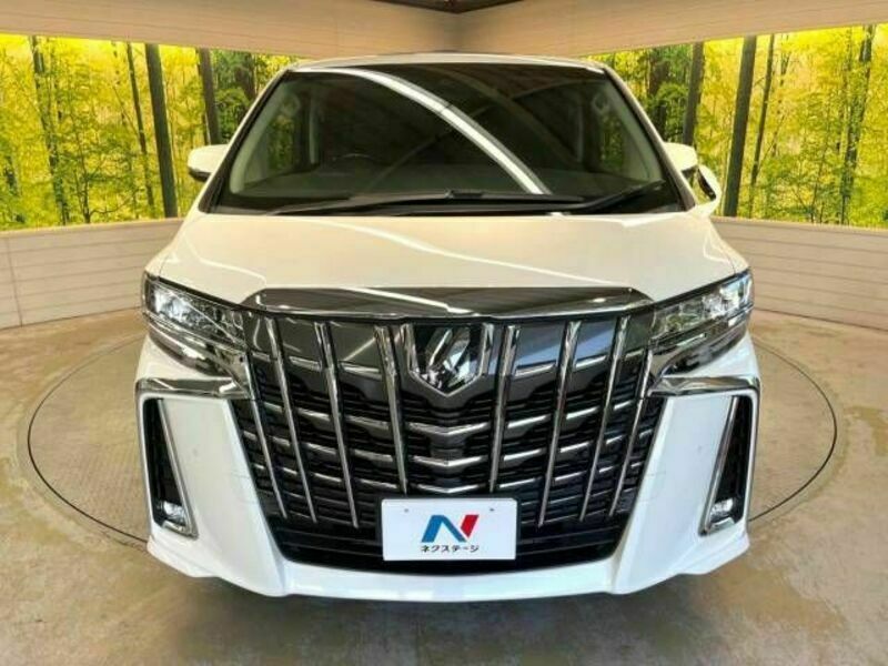 ALPHARD-16