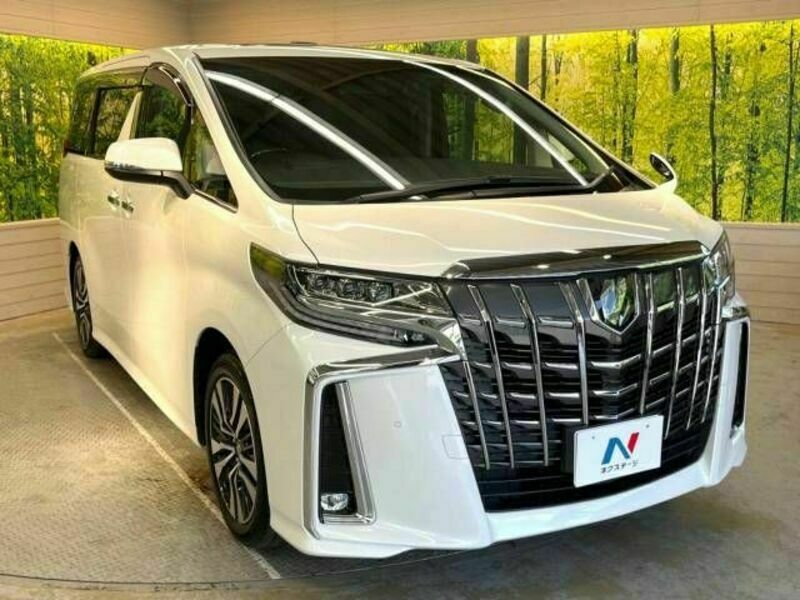 ALPHARD-18