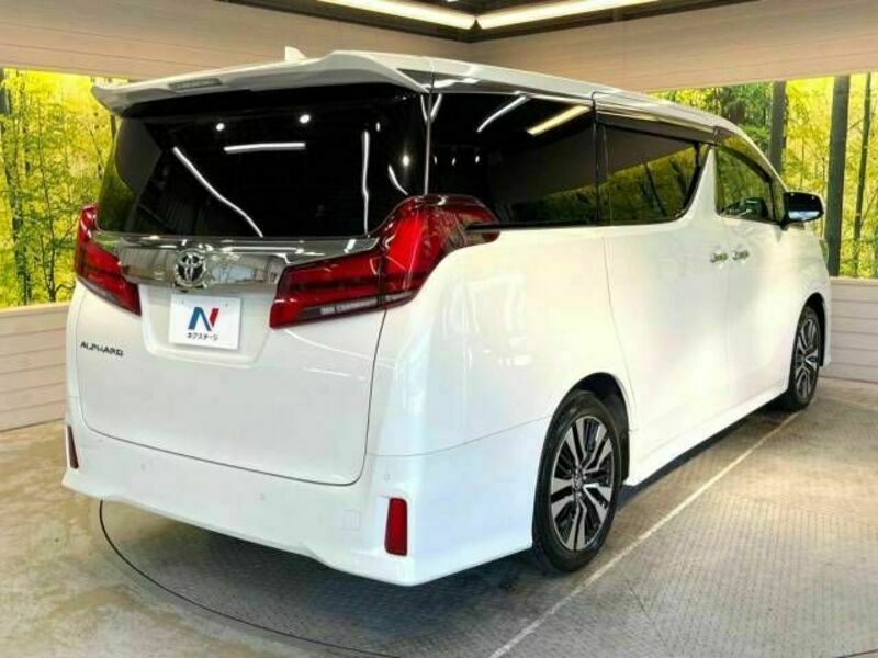 ALPHARD-19