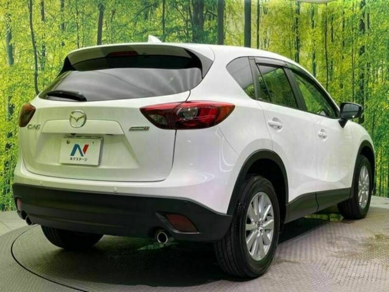 CX-5-17