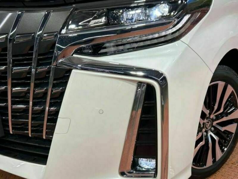 ALPHARD-13