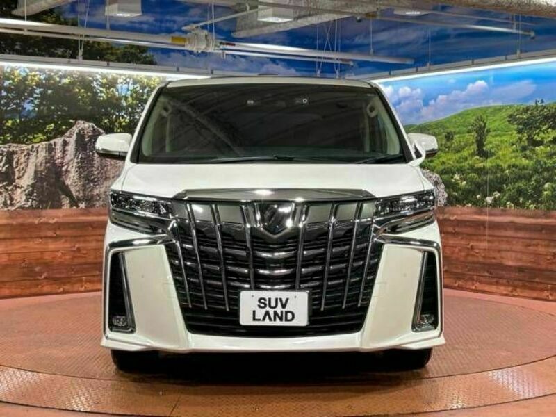 ALPHARD-15