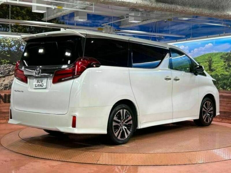 ALPHARD-18