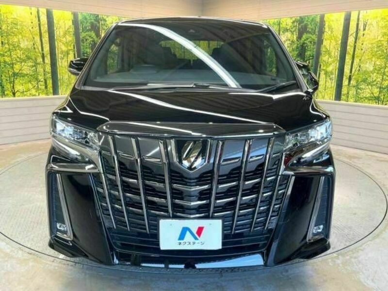 ALPHARD-14