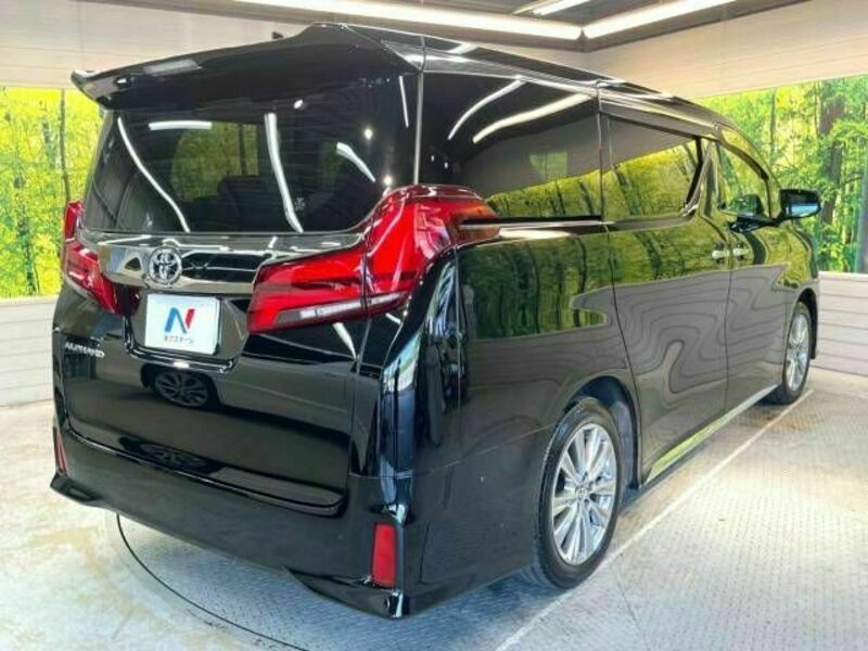 ALPHARD-17