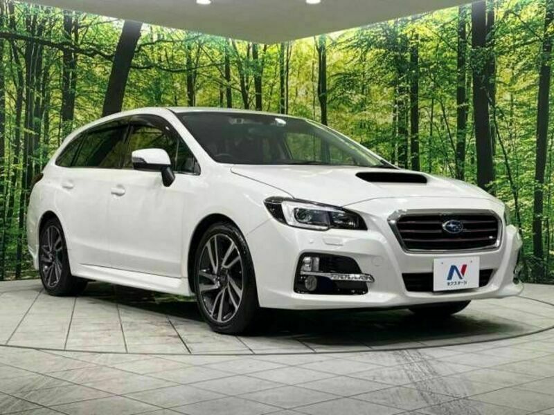 LEVORG-16