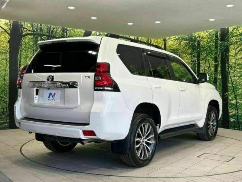 LAND CRUISER PRADO-17