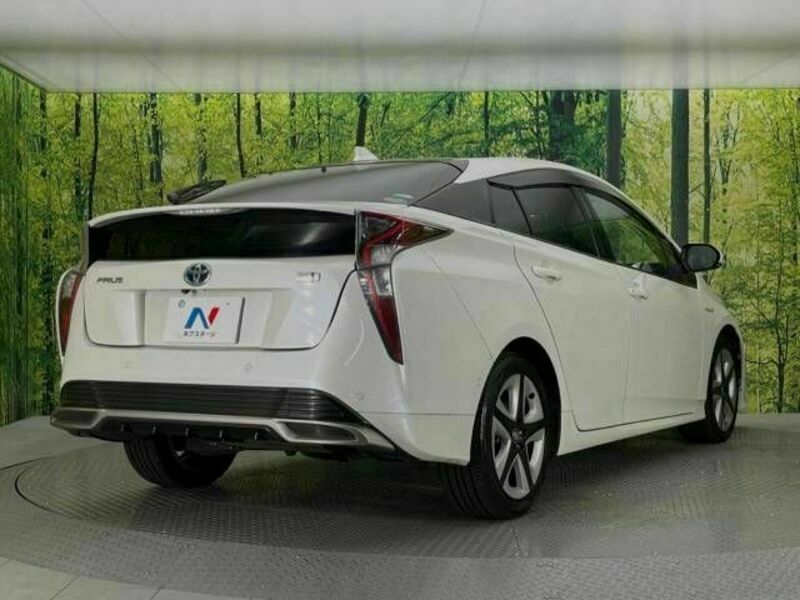 PRIUS-17