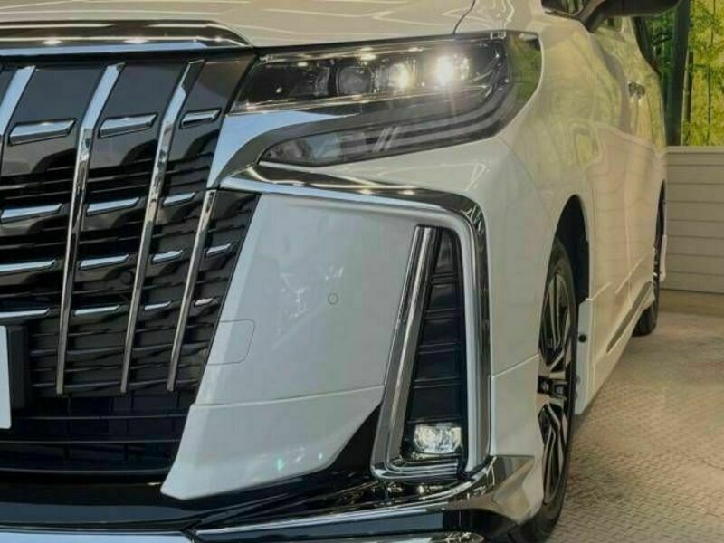 ALPHARD-13