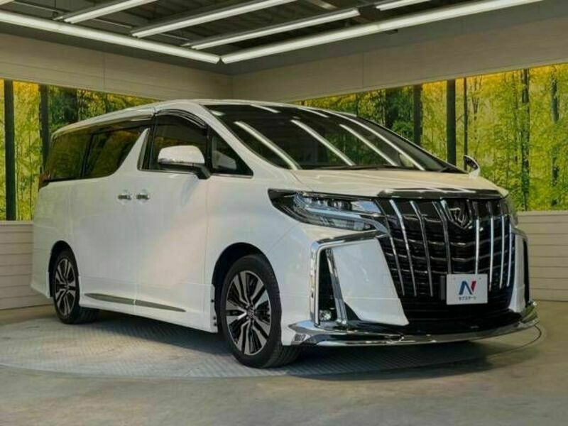 ALPHARD-17