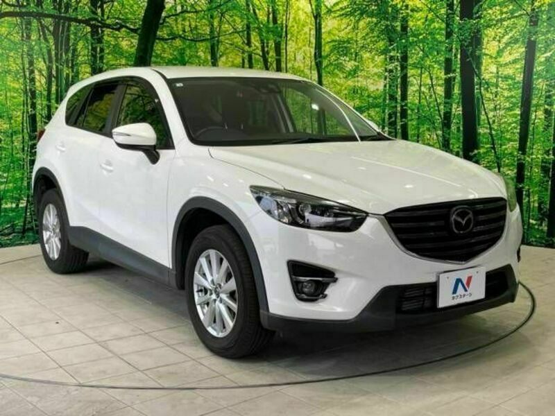 CX-5-17