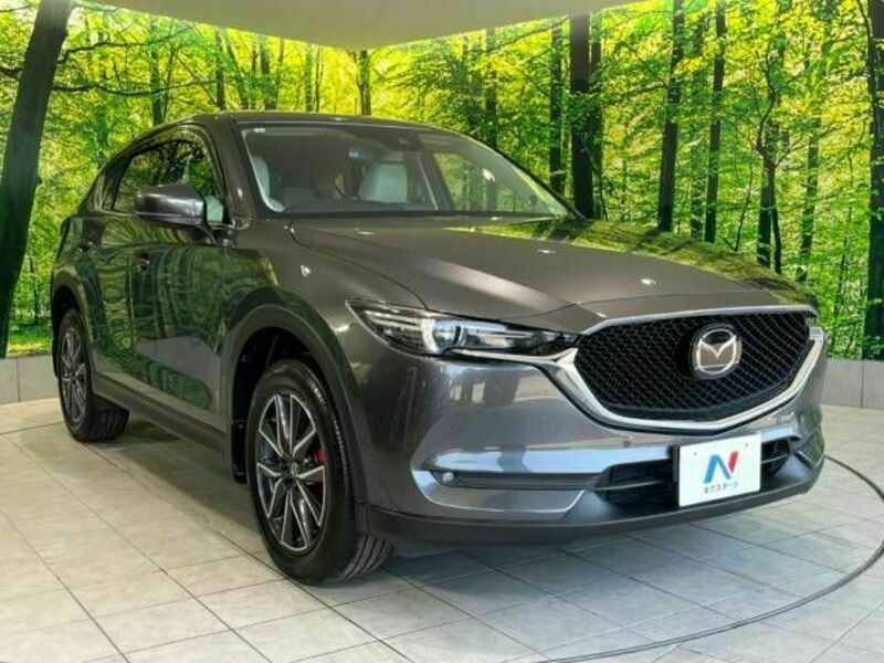 CX-5-16