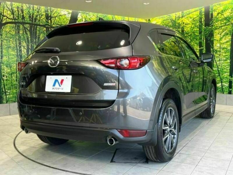 CX-5-17