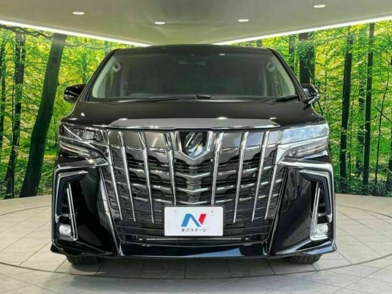 ALPHARD-15