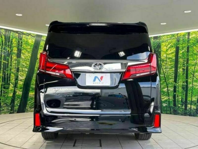 ALPHARD-16