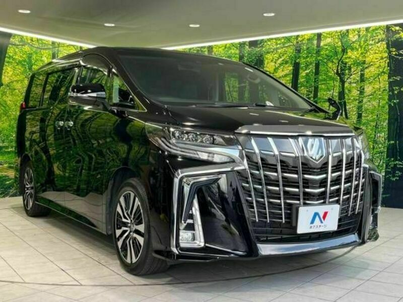 ALPHARD-17