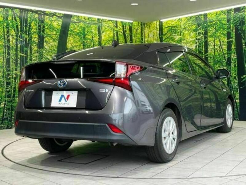 PRIUS-17