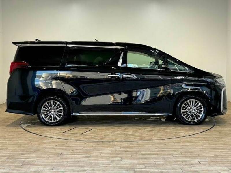 ALPHARD-13