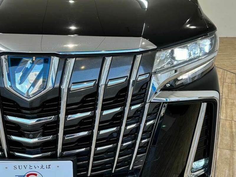 ALPHARD-17