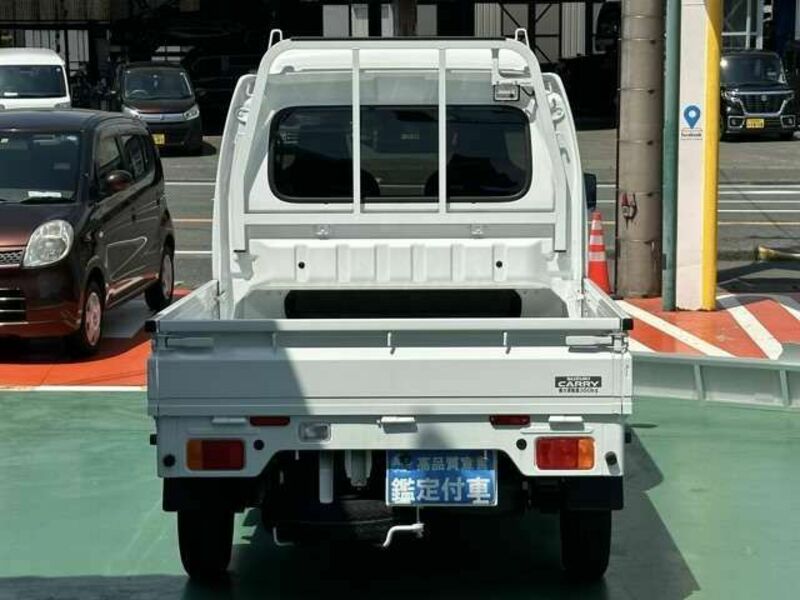 CARRY TRUCK-4