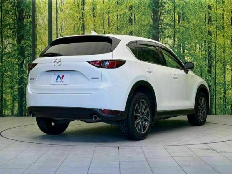 CX-5-17