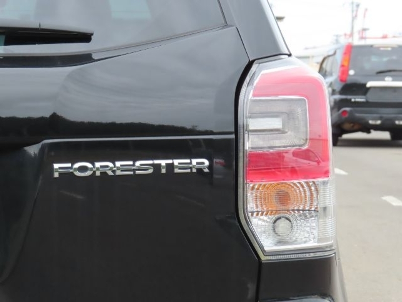 FORESTER