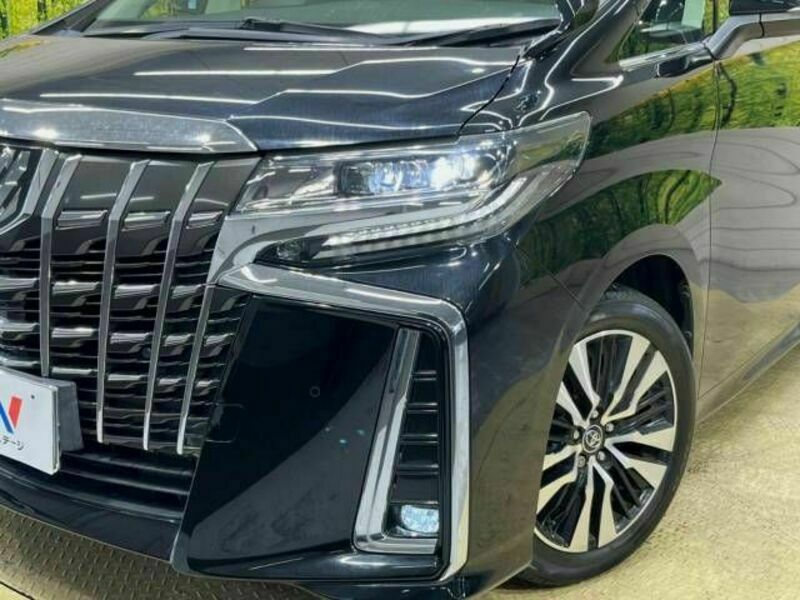 ALPHARD-13