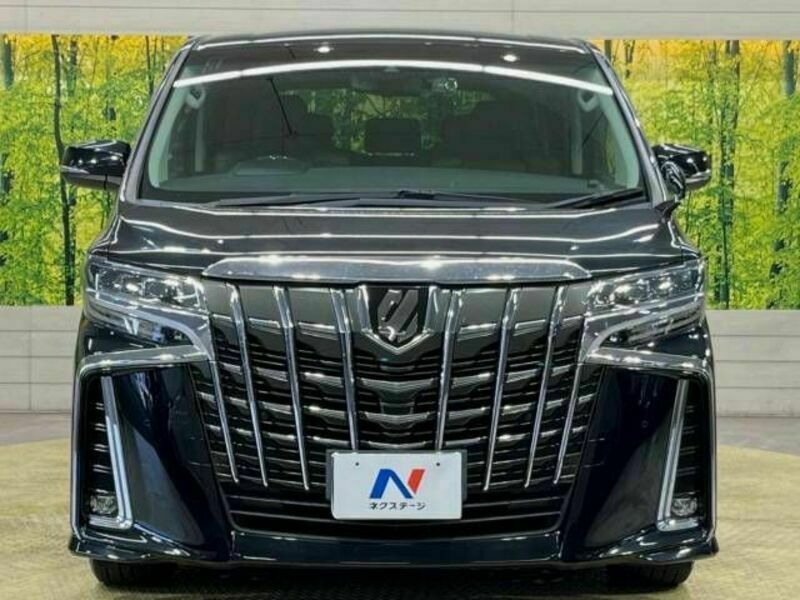 ALPHARD-15