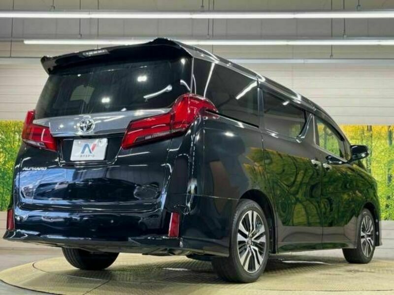 ALPHARD-18